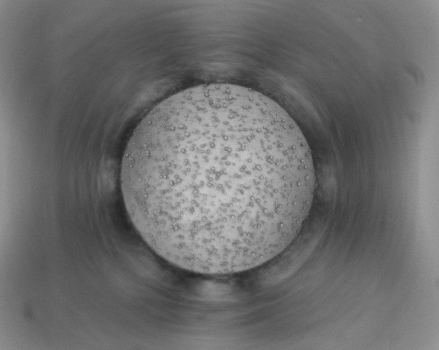 X0000113920232200910151446