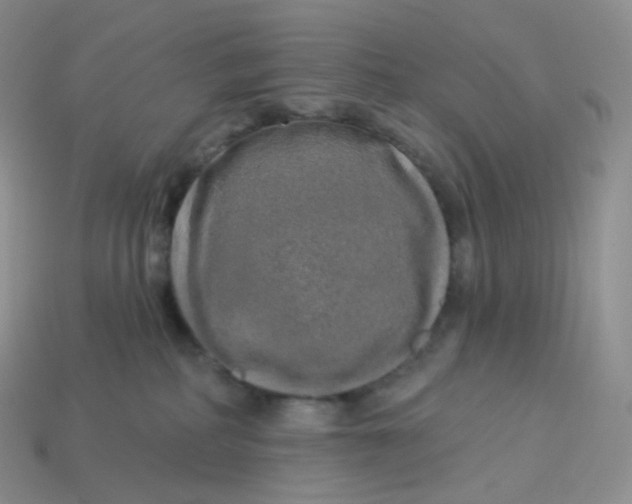 X0000113920234200910151446