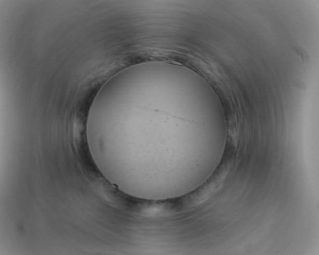 X0000113920235200910151446