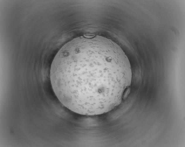 X0000113920236200910151446