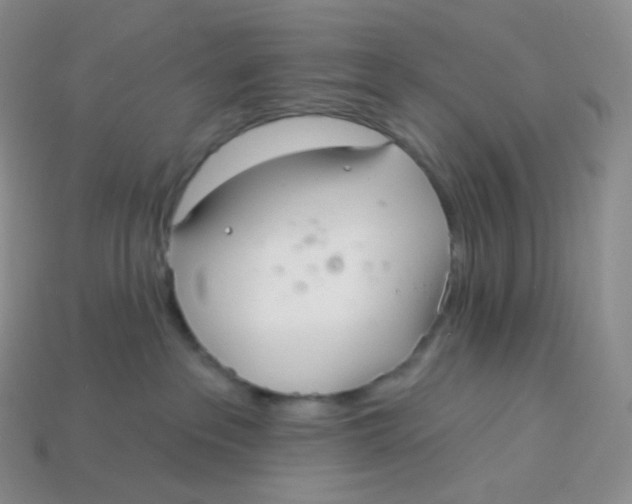 X0000113920237200910151446