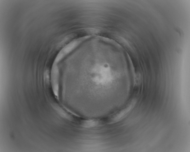 X0000113920238200910151446