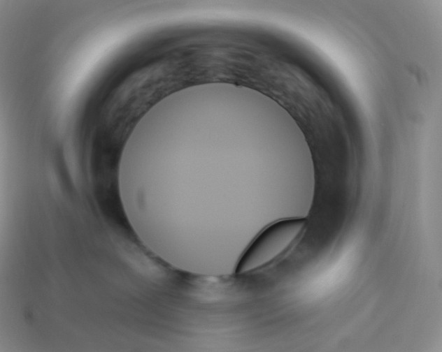X0000113920239200910151446