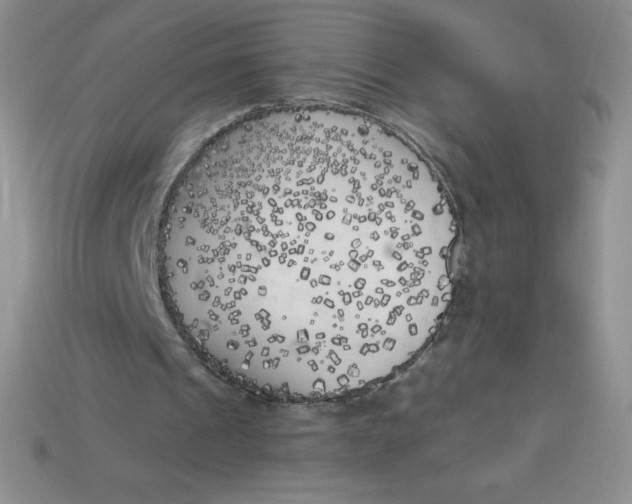 X0000113920241200910151445
