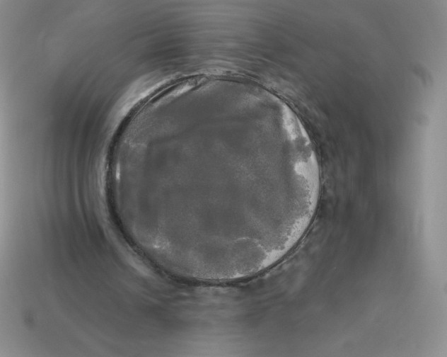 X0000113920242200910151445