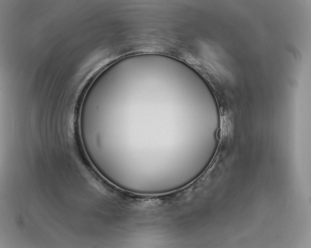 X0000113920243200910151445