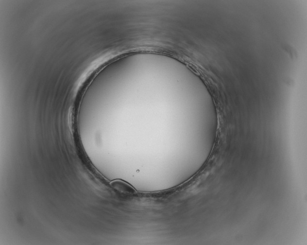 X0000113920244200910151445