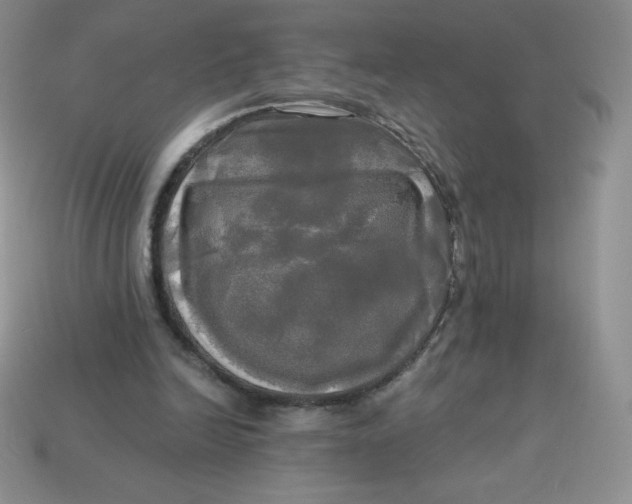 X0000113920246200910151445
