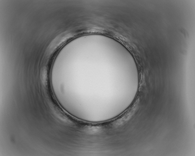 X0000113920247200910151445