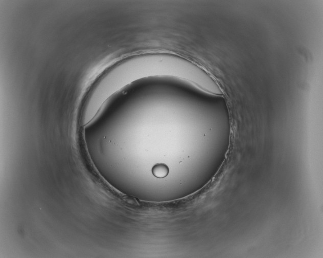 X0000113920248200910151445