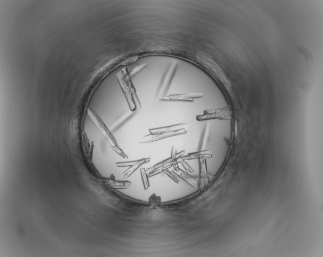 X0000113920249200910151445
