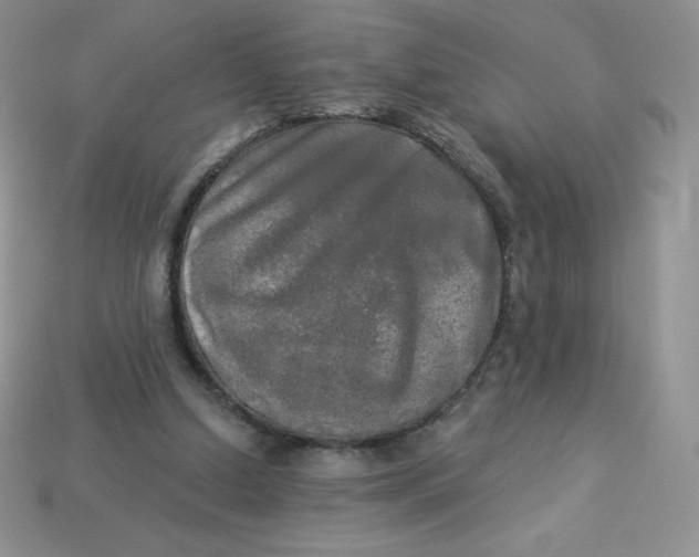 X0000113920250200910151445