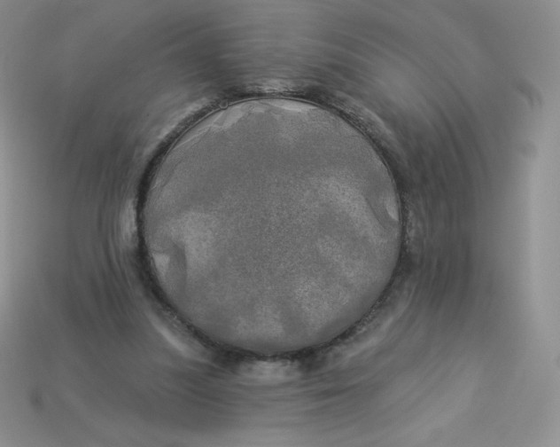 X0000113920251200910151446