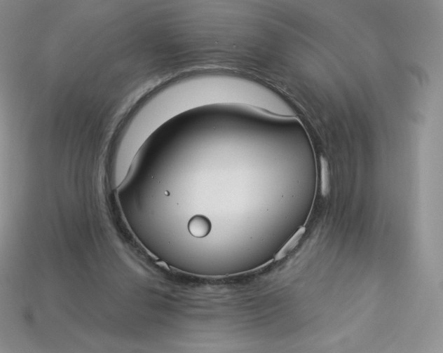 X0000113920252200910151446