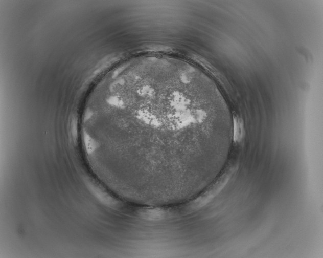 X0000113920253200910151446