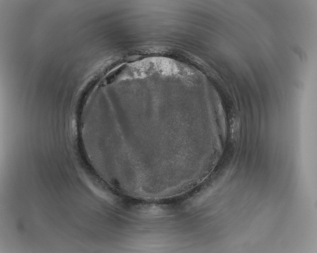 X0000113920254200910151446