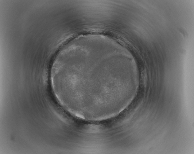 X0000113920255200910151446