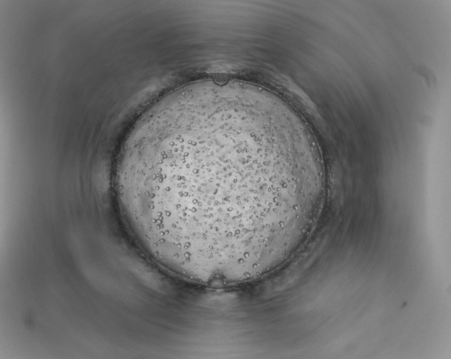 X0000113920257200910151446