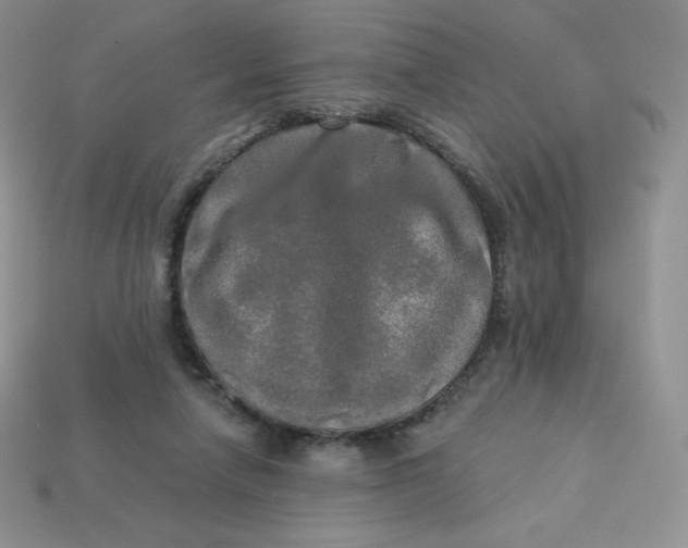 X0000113920258200910151446
