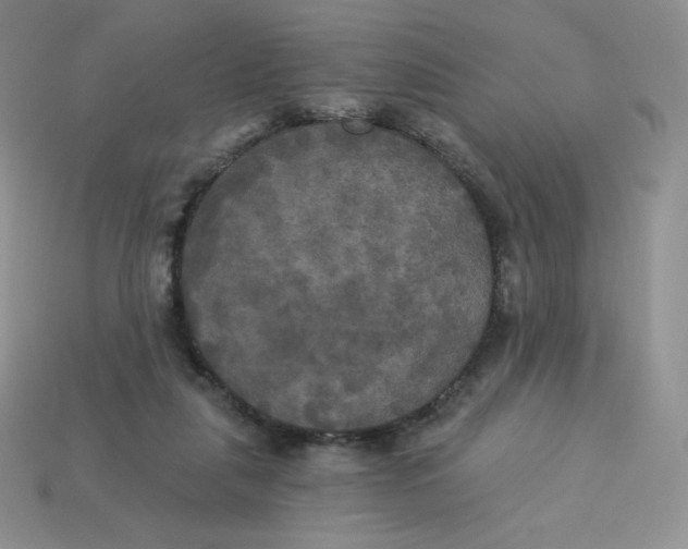 X0000113920259200910151446