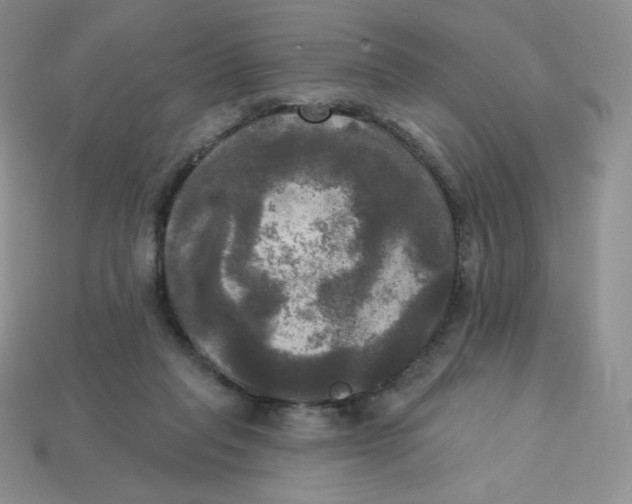 X0000113920261200910151446