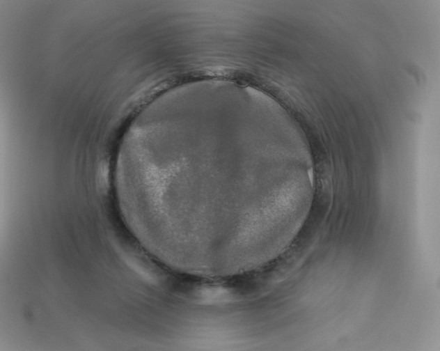 X0000113920262200910151446
