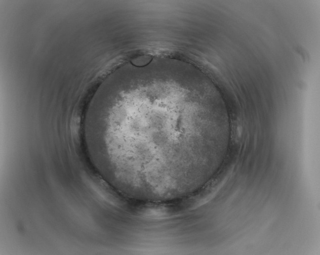 X0000113920263200910151446