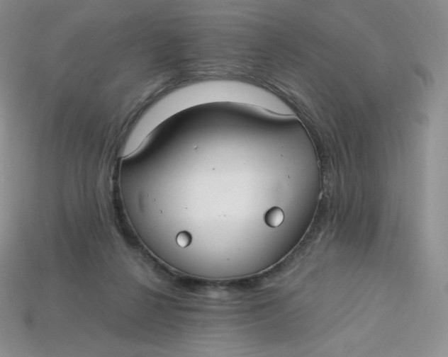 X0000113920264200910151446