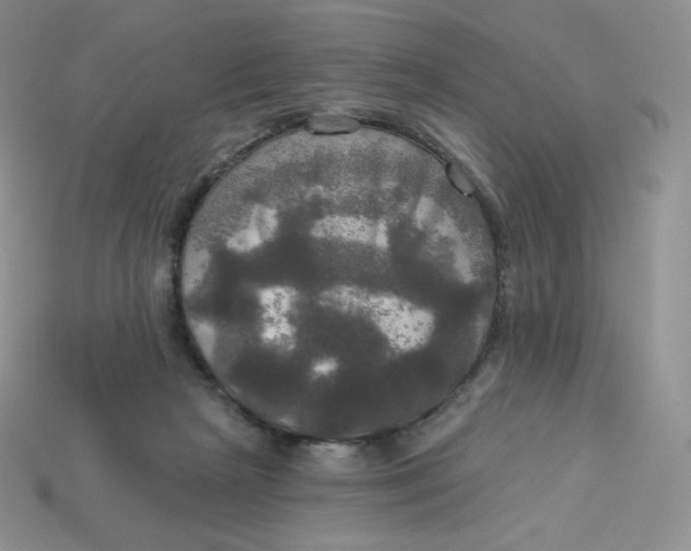 X0000113920265200910151446