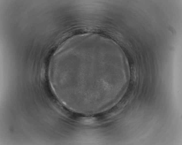 X0000113920266200910151446