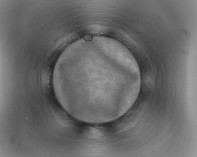 X0000113920268200910151446