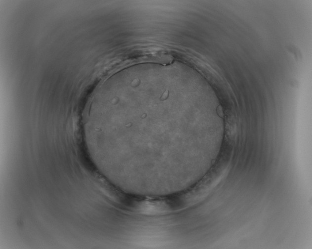 X0000113920270200910151446