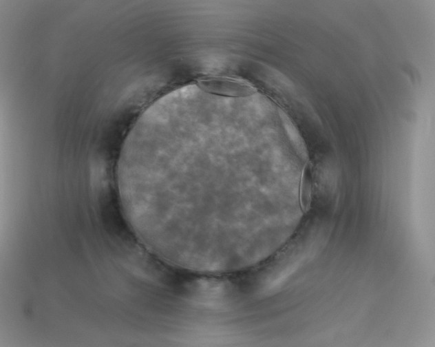 X0000113920272200910151446