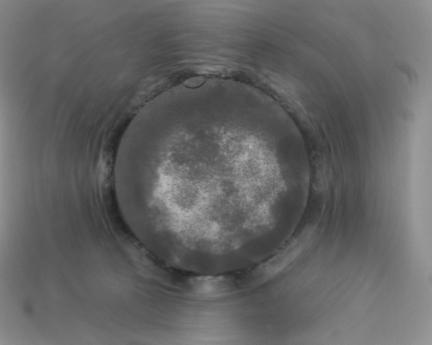 X0000113920273200910151446