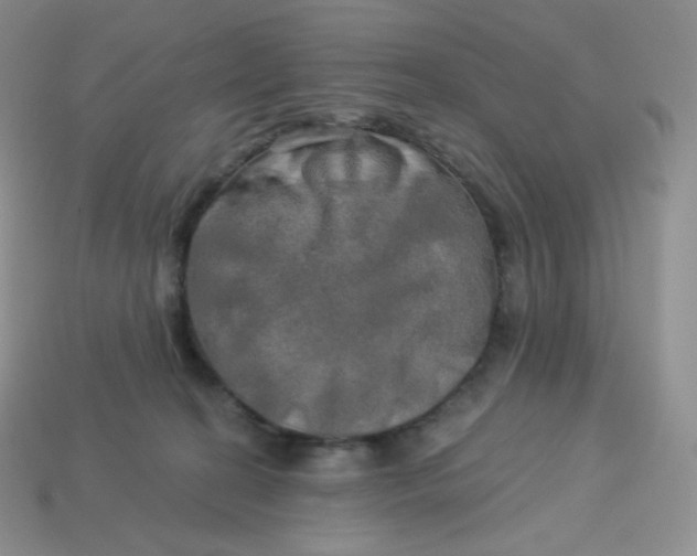 X0000113920274200910151446