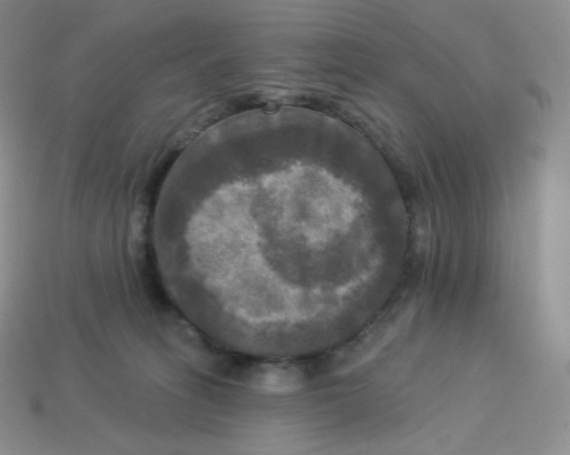 X0000113920275200910151446