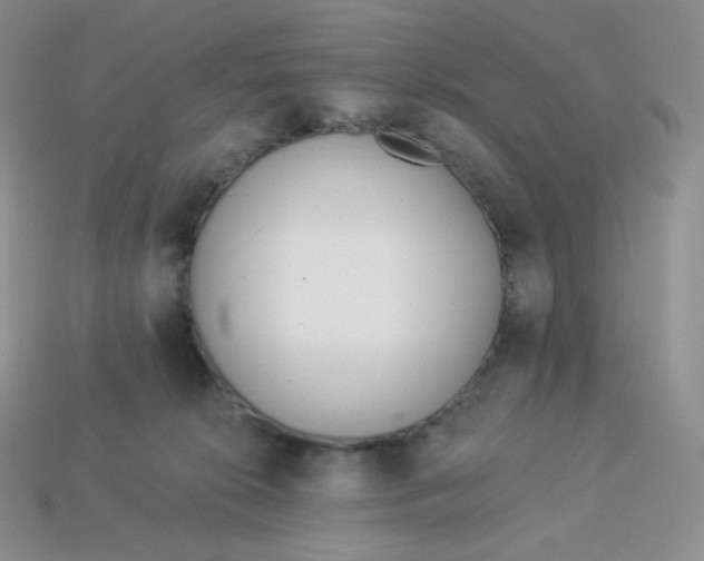 X0000113920276200910151446