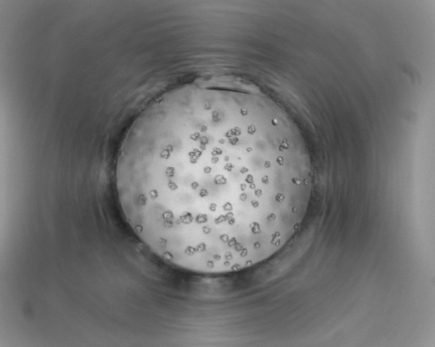 X0000113920277200910151446