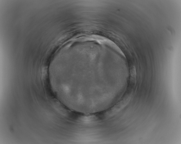 X0000113920278200910151446