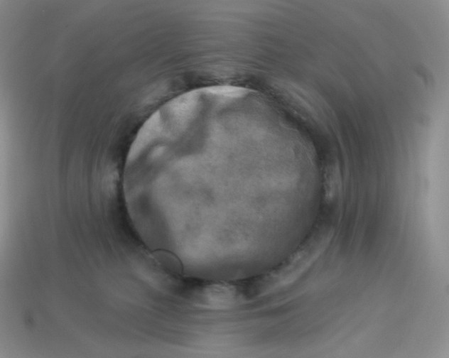 X0000113920279200910151446