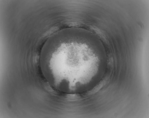 X0000113920281200910151446