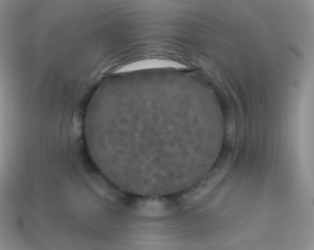 X0000113920282200910151446