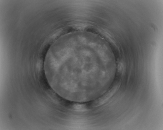 X0000113920283200910151446