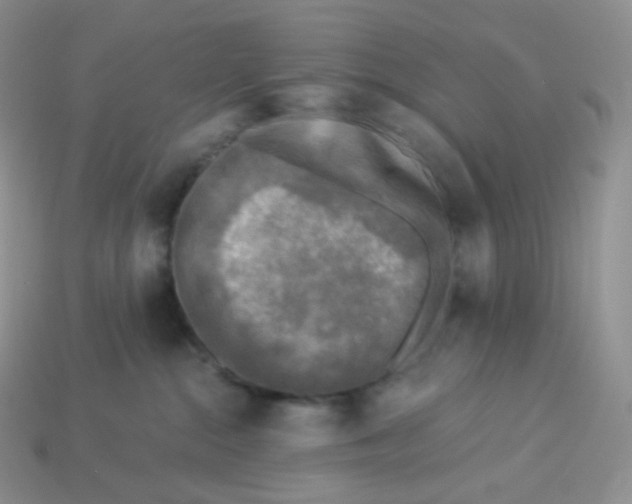 X0000113920284200910151446