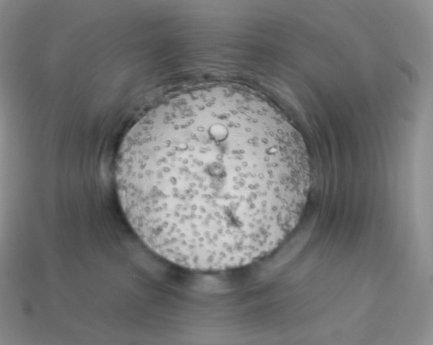 X0000113920285200910151446