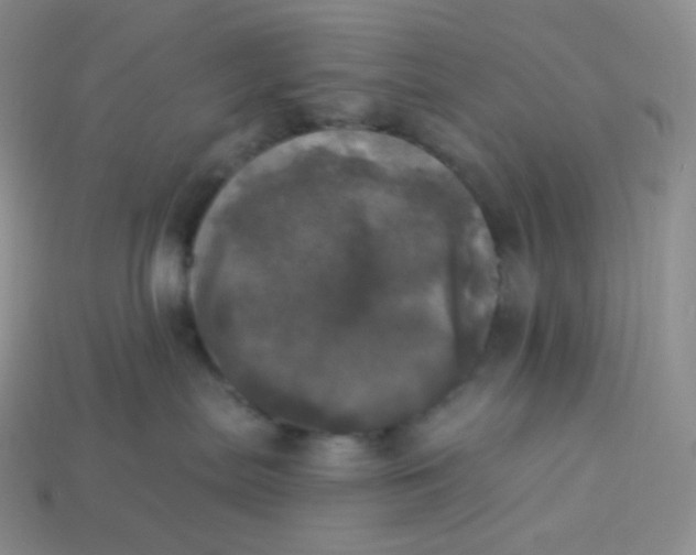 X0000113920287200910151446