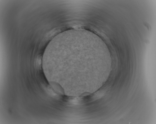 X0000113920288200910151446