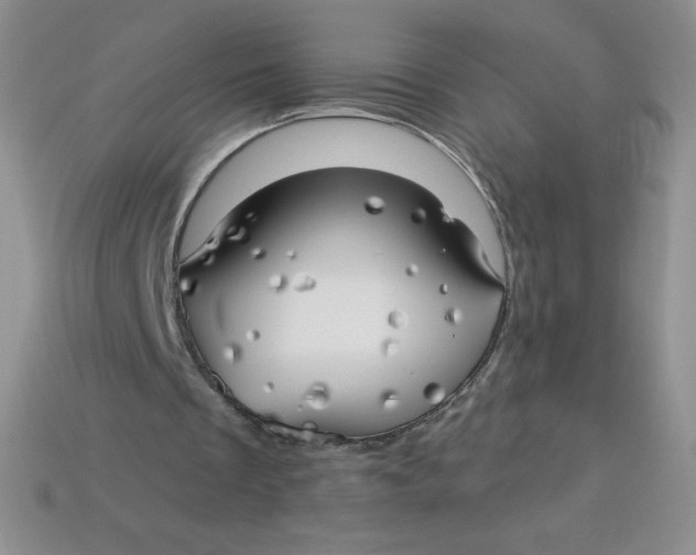 X0000113920289200910151445