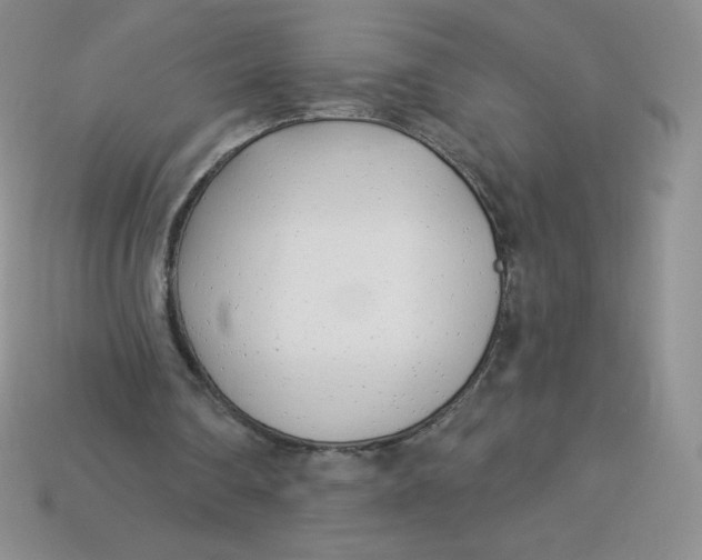 X0000113920290200910151445