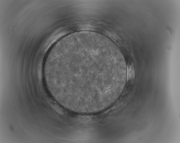 X0000113920291200910151445